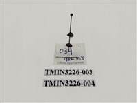 藏品(龜紋瓢蟲)的圖片